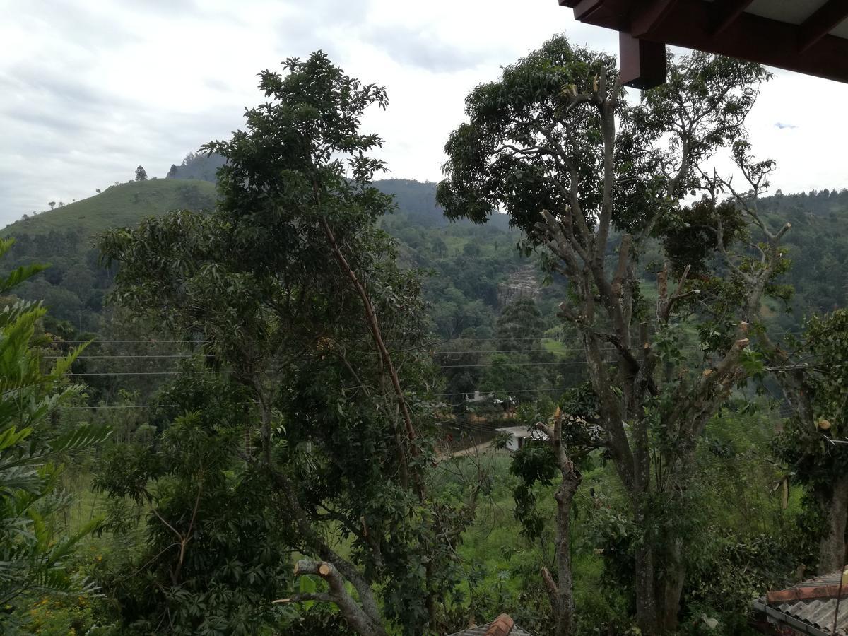 Ella Bamboo Cabana Bagian luar foto